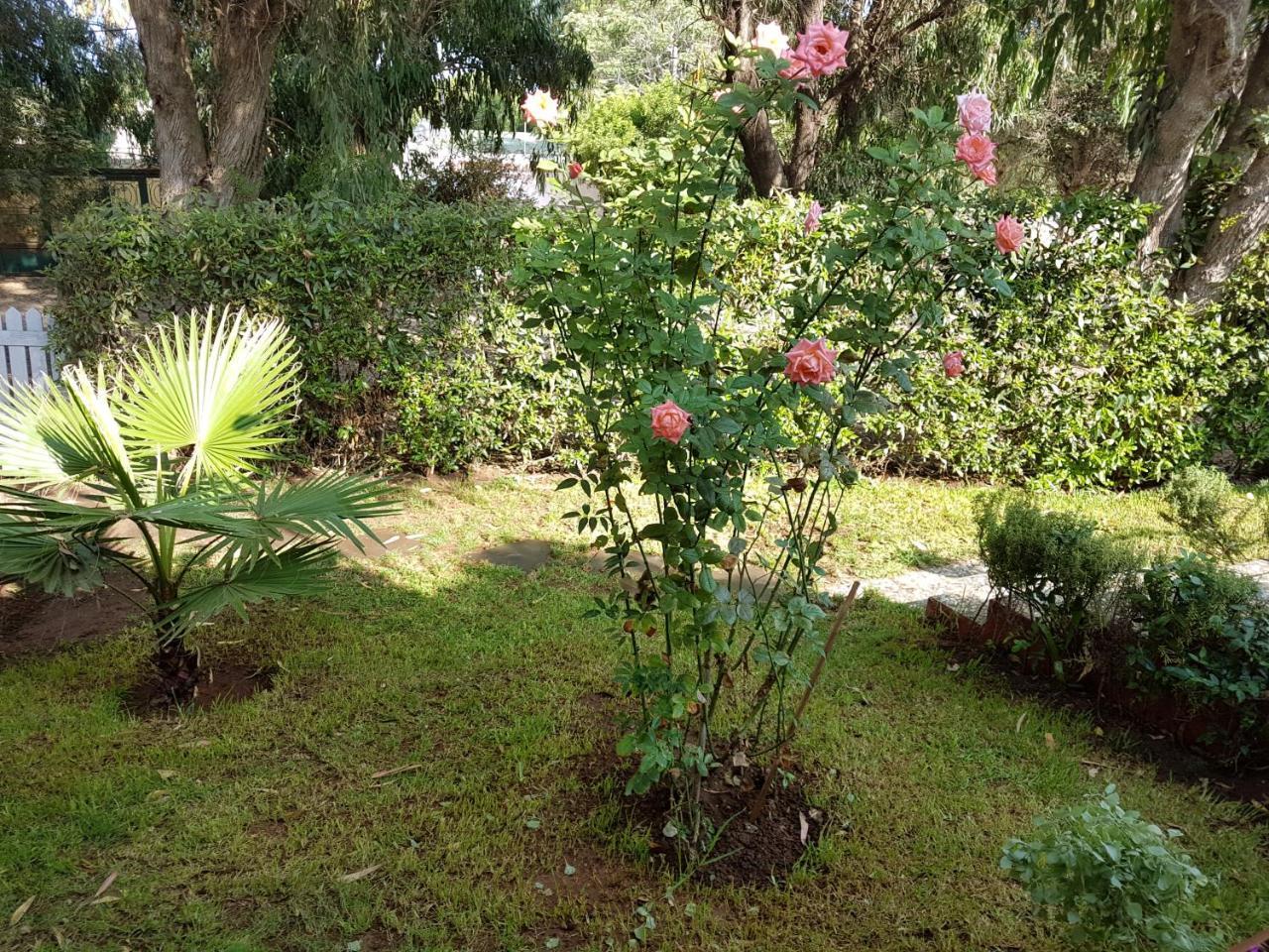 Location Vacances Casablanca Tamaris المظهر الخارجي الصورة
